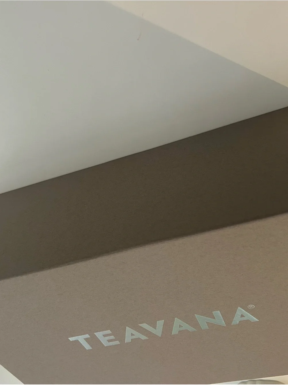 New Teavana Start Steeping Starter Brewing Kit
